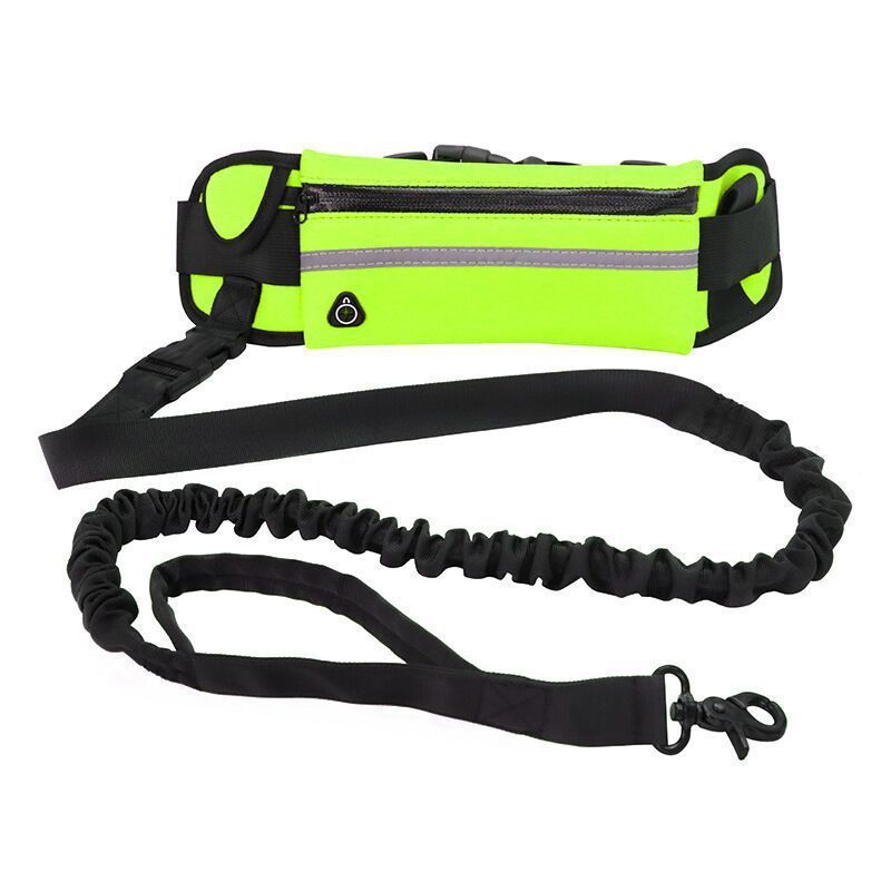 Pet Purse Leash For Dog Walking Purrfect Pawz