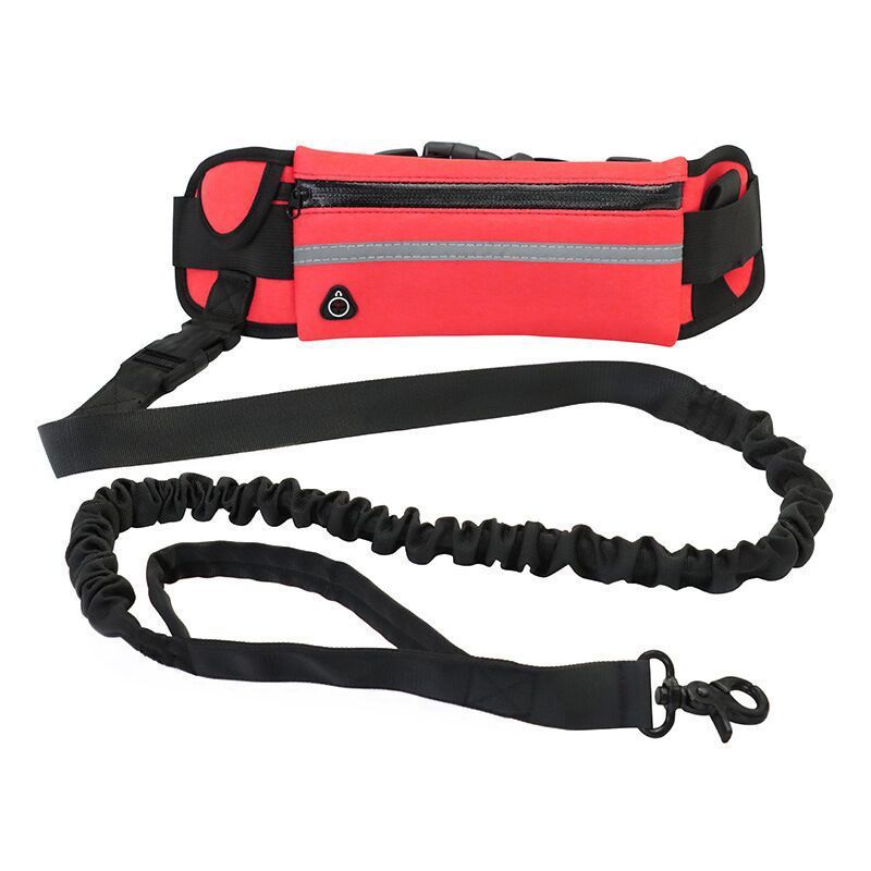 Pet Purse Leash For Dog Walking Purrfect Pawz