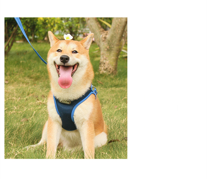 Pet Chest Harness Cat And Dog Leash Purrfect Pawz