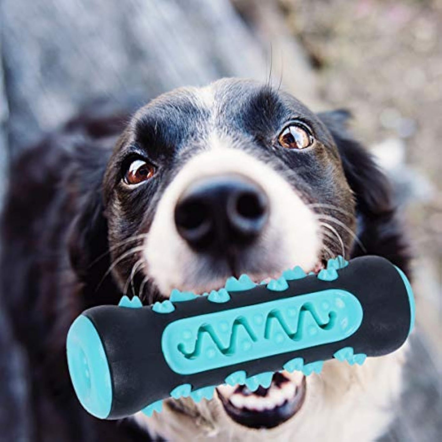 Dog Toothbrush Chew Toy Puppy Dog Teeth Cleaning Stick Natural Rubber Dental Teether Molar Toys For Dog Pets Purrfect Pawz