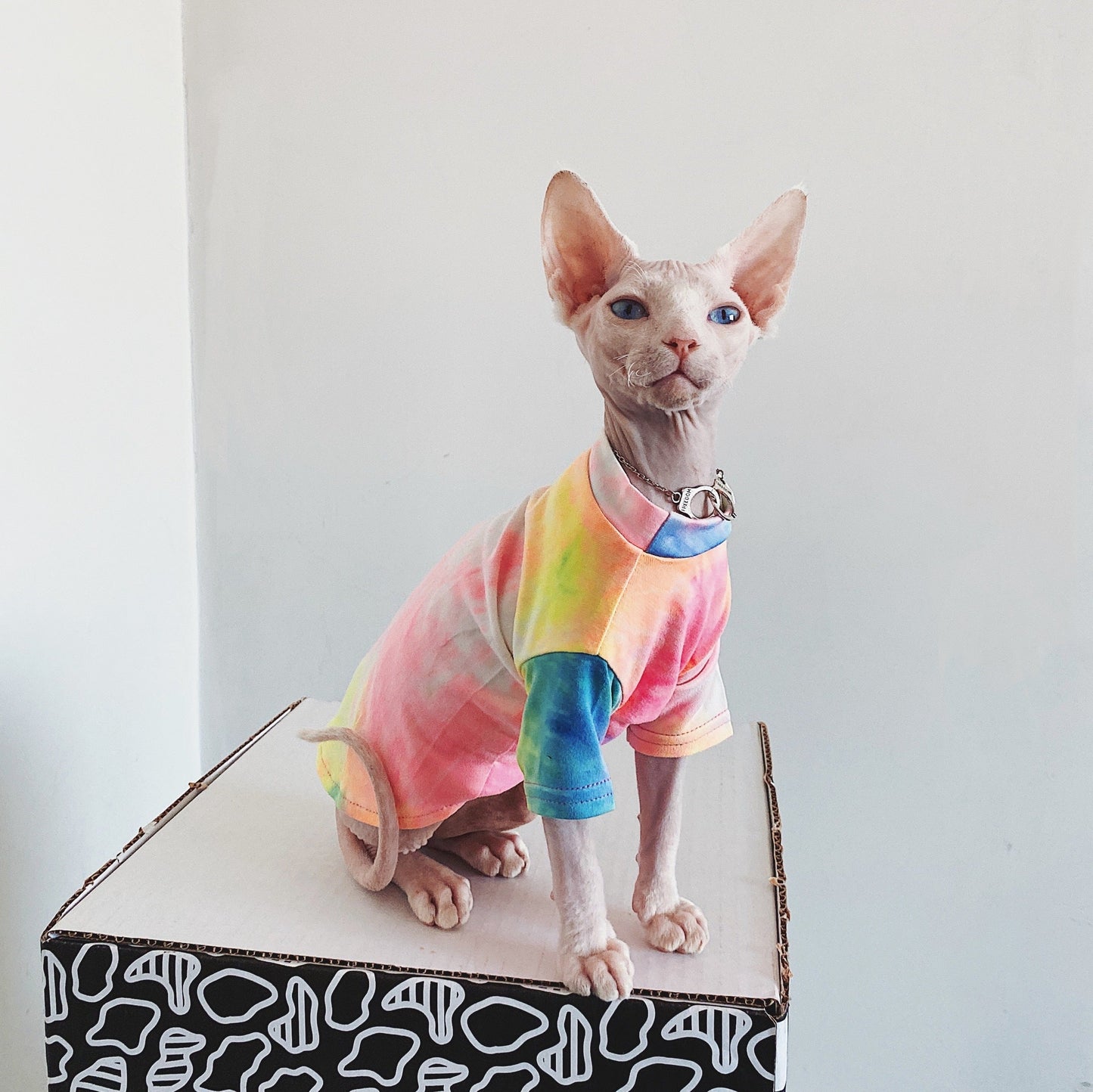 Hairless Cat Clothes Tie-dye Rainbow Primer Purrfect Pawz
