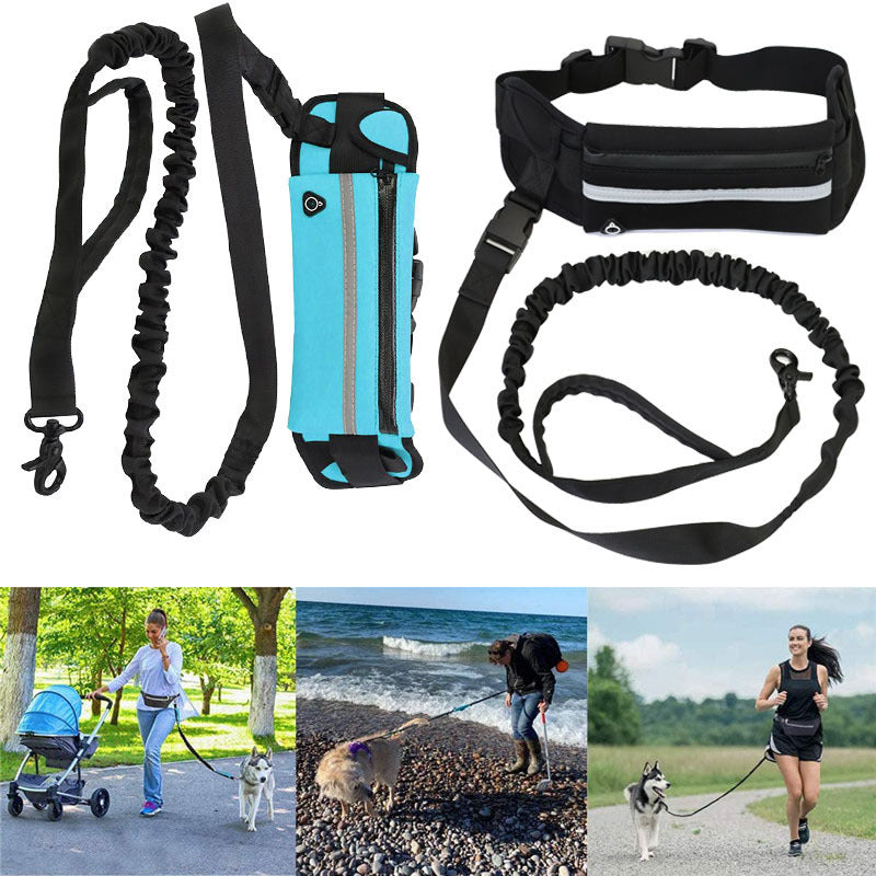 Pet Purse Leash For Dog Walking Purrfect Pawz