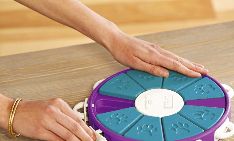 Dog educational toys Purrfect Pawz