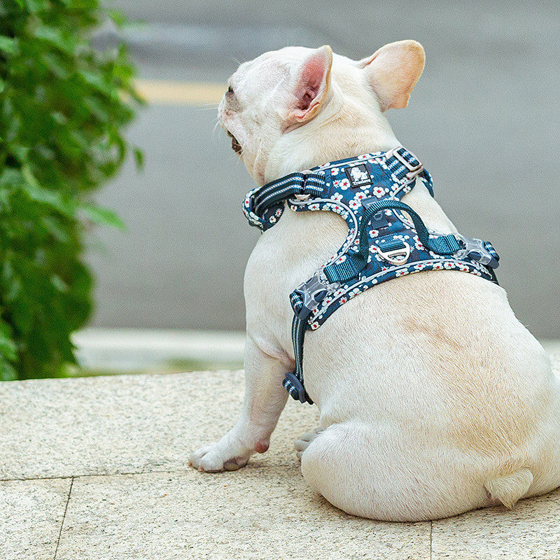 The New Dog Leash Vest Type Walking Chain Purrfect Pawz