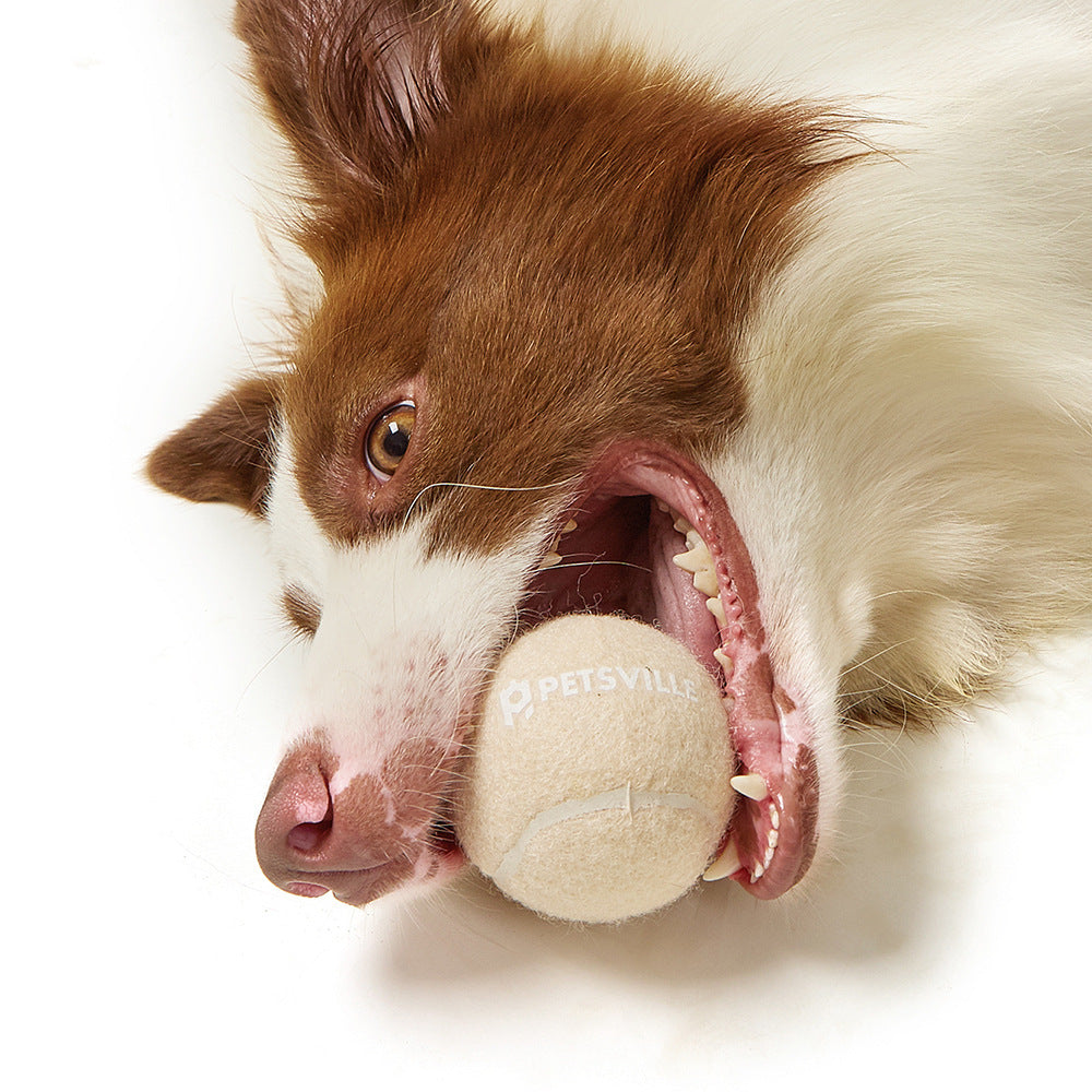 Outdoor Interactive Tennis Dog Toys Purrfect Pawz