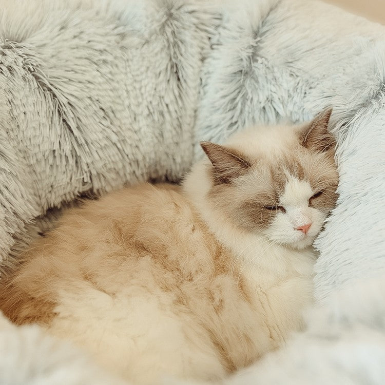 Cat Nest Four Seasons Universal Closed Cat Tunnel Purrfect Pawz