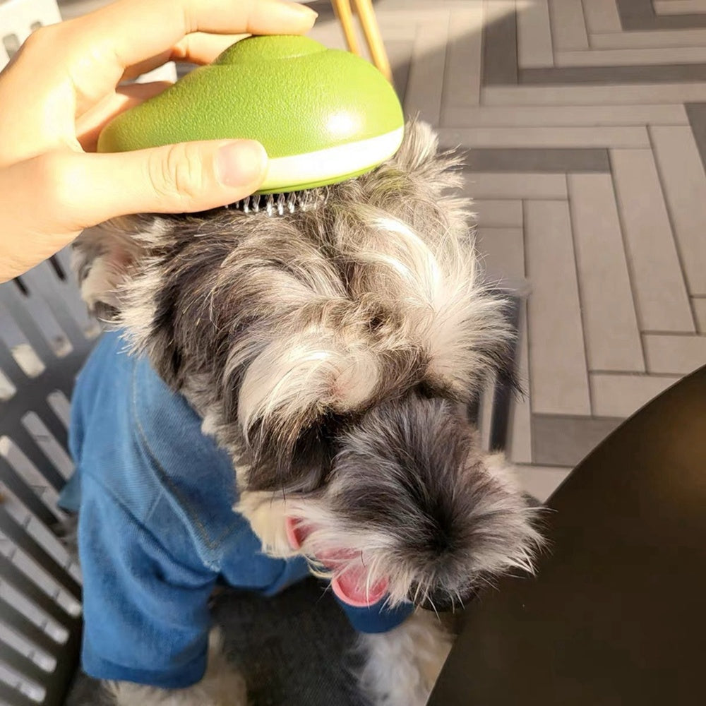 Creative Cat Grooming Comb Portable Massage Brush One-Button Remove Floating Hair Scraper Cats Dogs Pet Self Cleaning Tool Accessories Purrfect Pawz