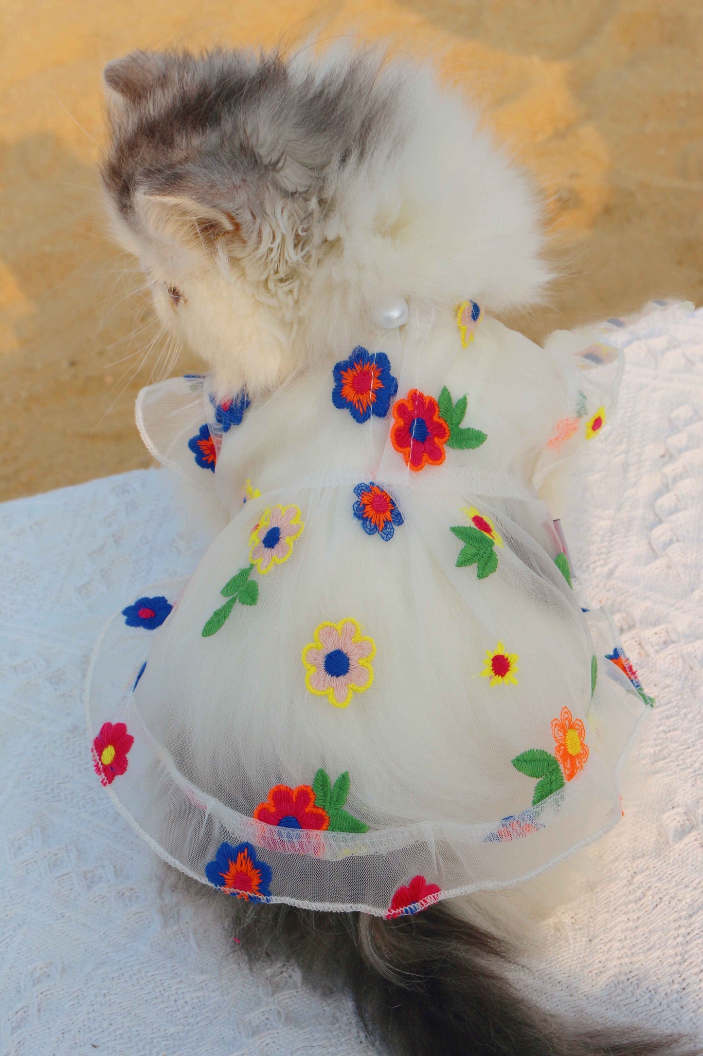 Mesh Flower Embroidery Dress Cat Clothes Purrfect Pawz