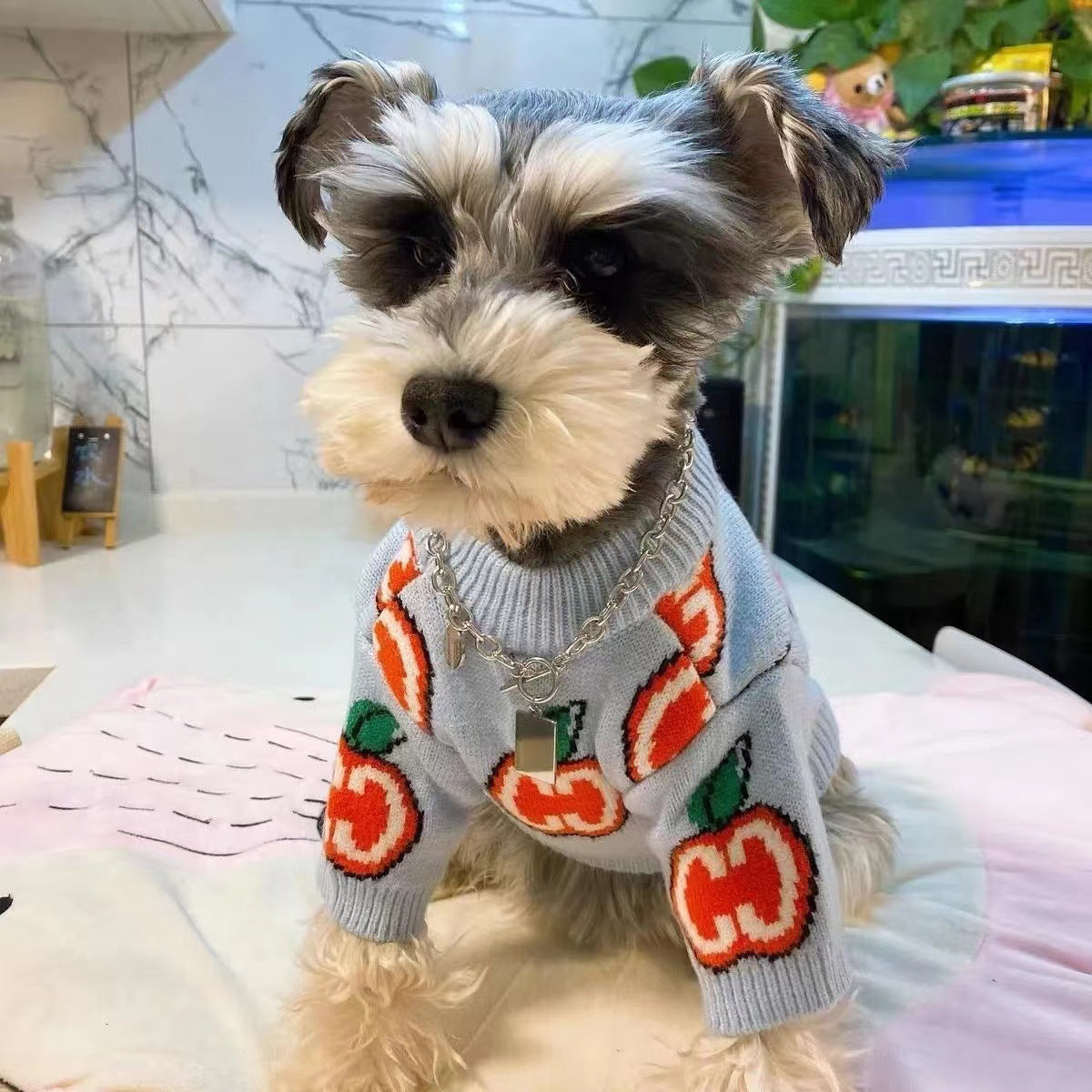 Padded Sweater For Dogs And Cats Purrfect Pawz