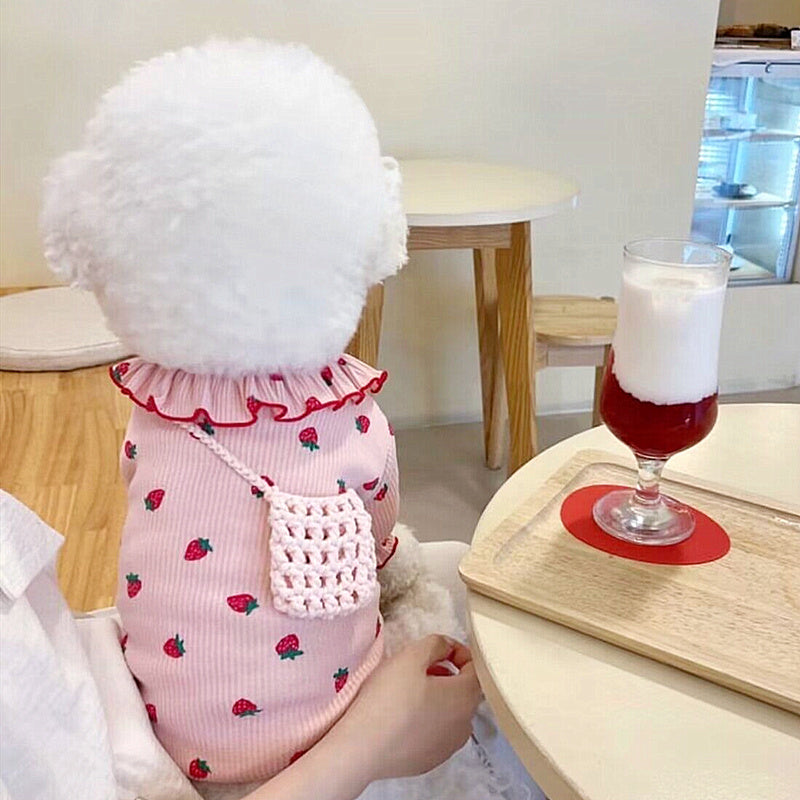 Summer Thin Lace Strawberry Pet Cat Dog Clothes Purrfect Pawz
