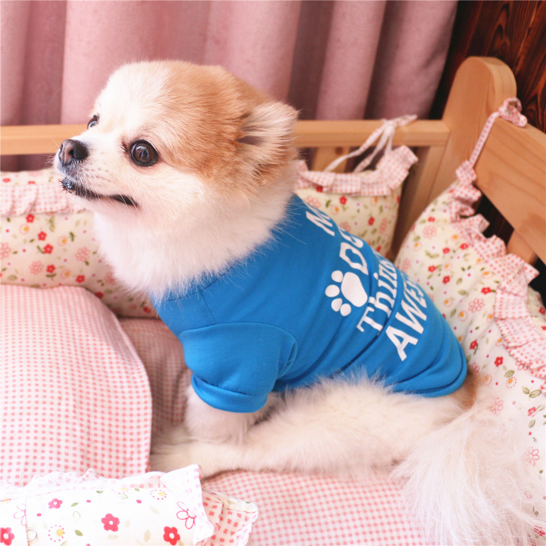 Summer pet clothes Purrfect Pawz