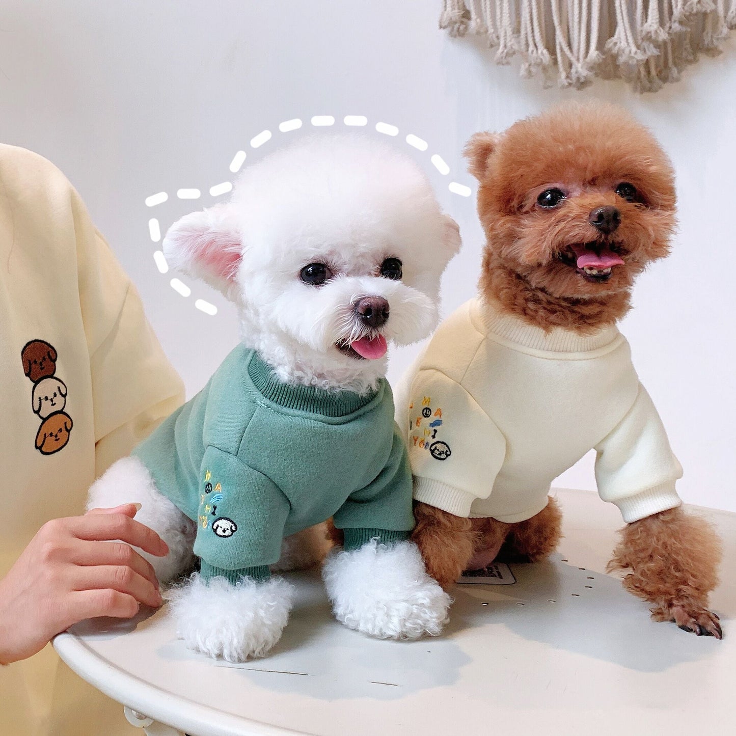 Parent-child Wear Sweater Autumn And Winter Pet Dog Small Dog Clothes Winter Purrfect Pawz