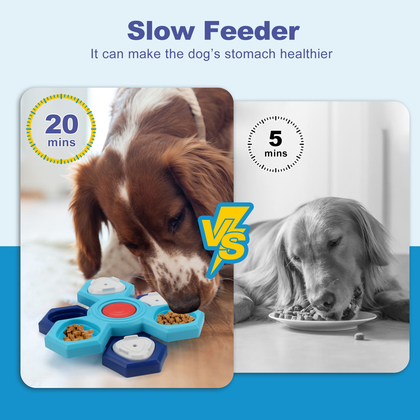 4 Layers Slow Feeder Puzzle Dog Bowls Assemble Slow Eating Bowl For Dogs Non-slip Interactive Dog Puzzle Game Slow Bowl Pet Products Purrfect Pawz