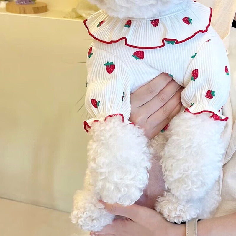 Summer Thin Lace Strawberry Pet Cat Dog Clothes Purrfect Pawz