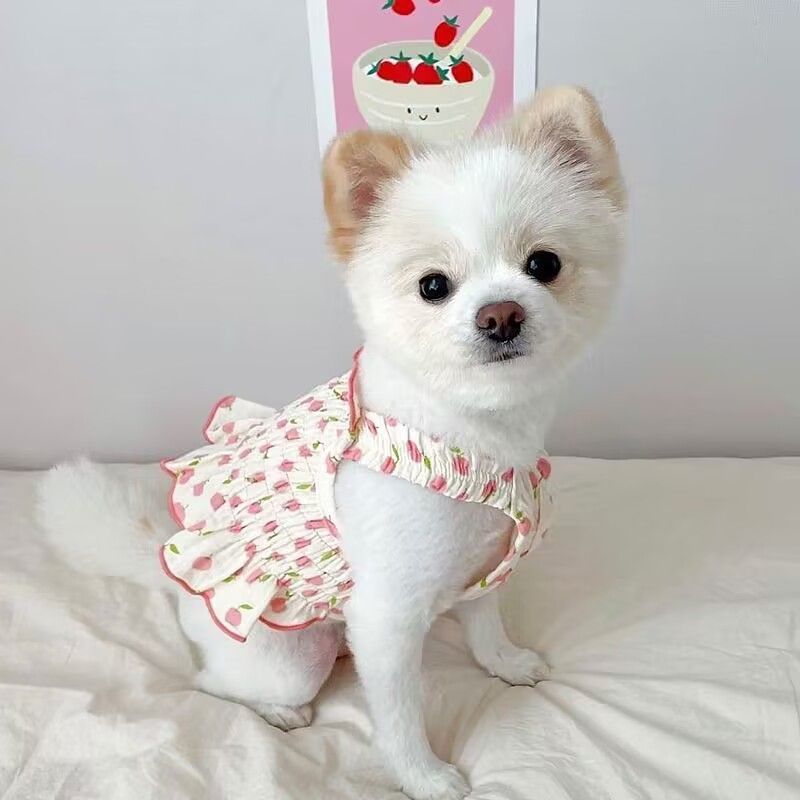 Dog Pet Clothes Summer Halter Skirt Purrfect Pawz