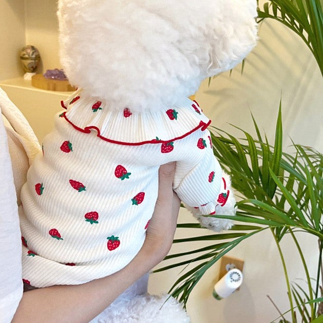 Summer Thin Lace Strawberry Pet Cat Dog Clothes Purrfect Pawz