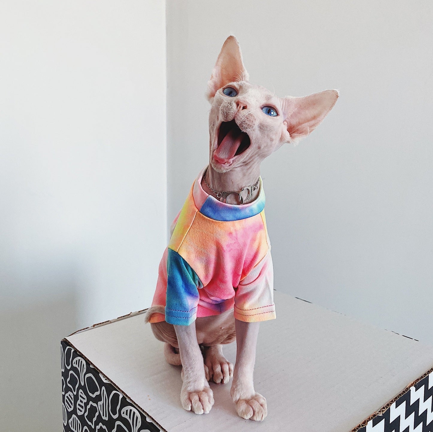 Hairless Cat Clothes Tie-dye Rainbow Primer Purrfect Pawz