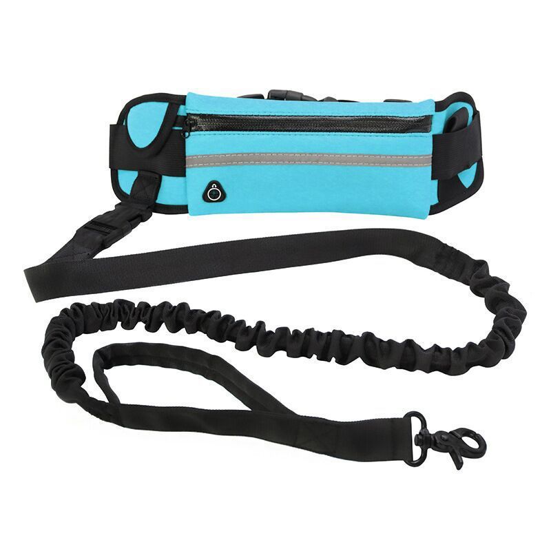 Pet Purse Leash For Dog Walking Purrfect Pawz