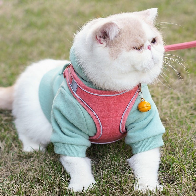 Cat Leash Vest Type Chest Harness Purrfect Pawz