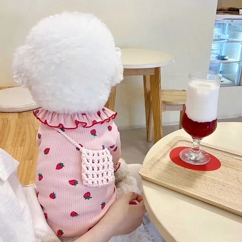Summer Thin Lace Strawberry Pet Cat Dog Clothes Purrfect Pawz