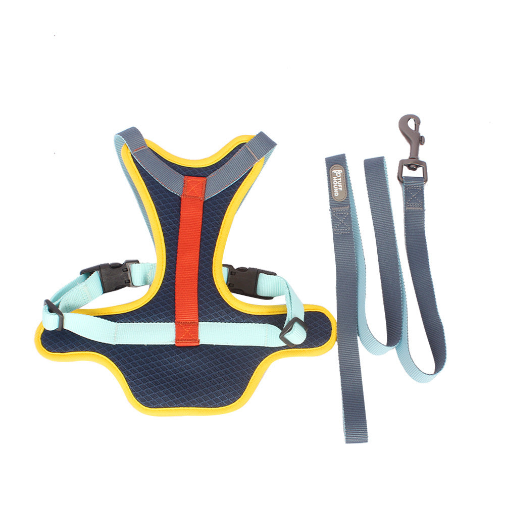 Colourful Harness & Leash Set Purrfect Pawz