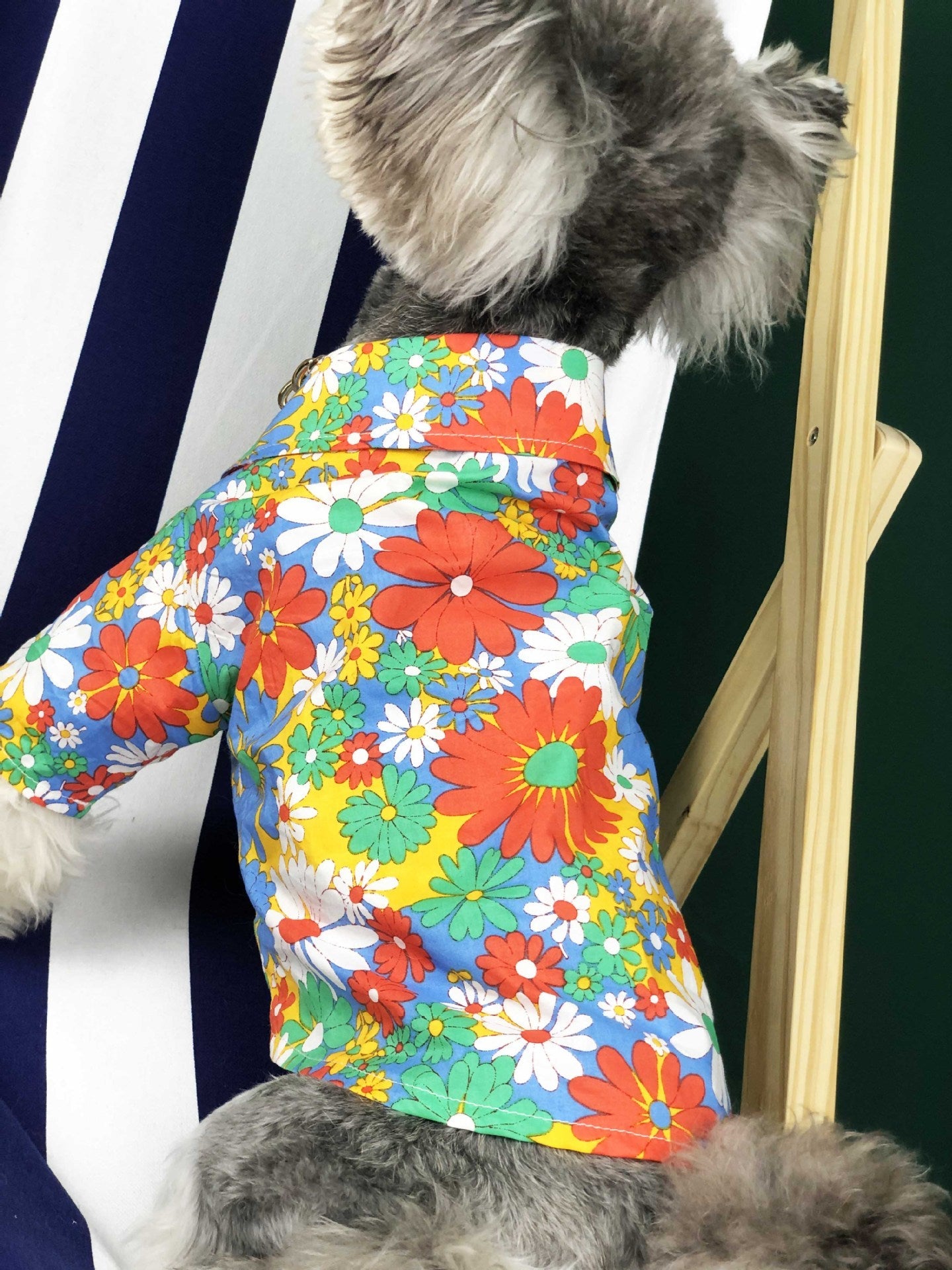 Dog Clothes Small Dog Summer Thin Flower Shirt Teddy Schnauzer Corgibago Cat Cotton Pet Clothes Purrfect Pawz
