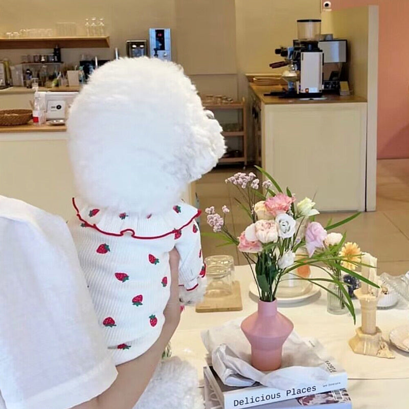 Summer Thin Lace Strawberry Pet Cat Dog Clothes Purrfect Pawz