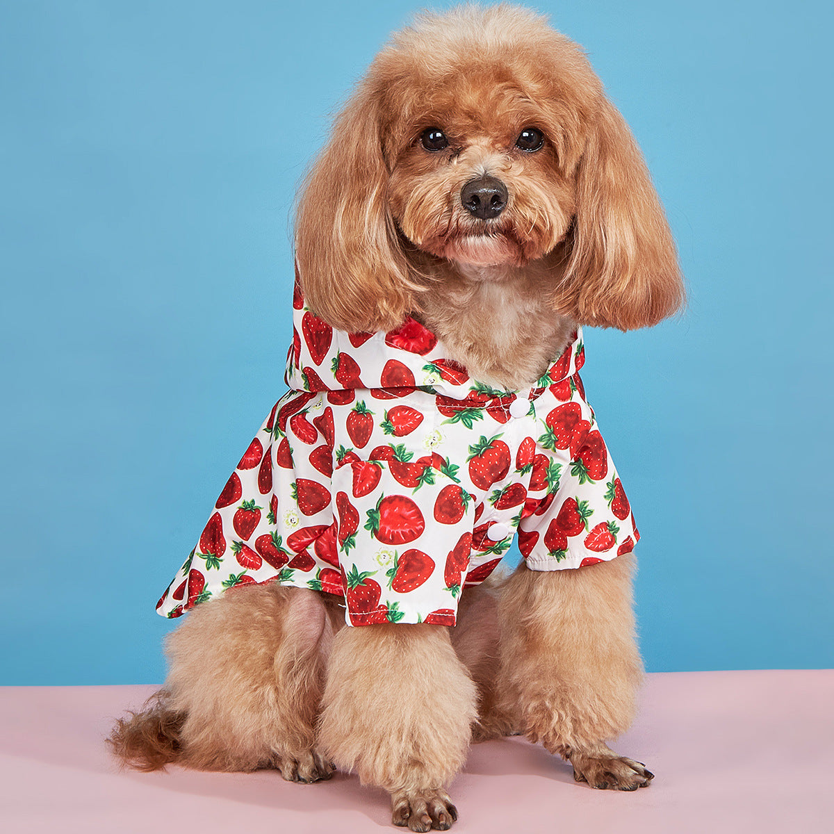 Strawberry Pattern Spring And Summer Dog Clothes Waterproof Purrfect Pawz