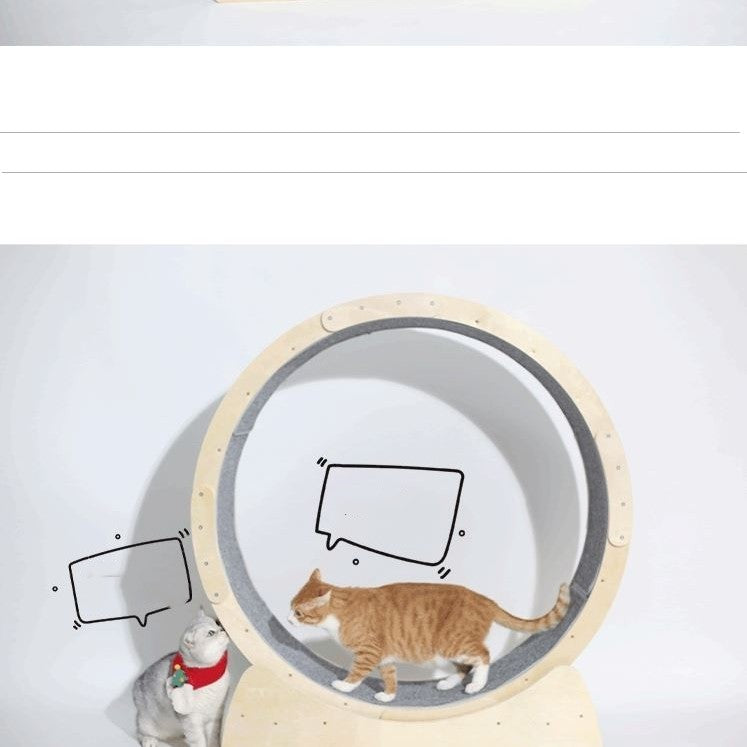 Special Toys For Cat Treadmill Roller Purrfect Pawz