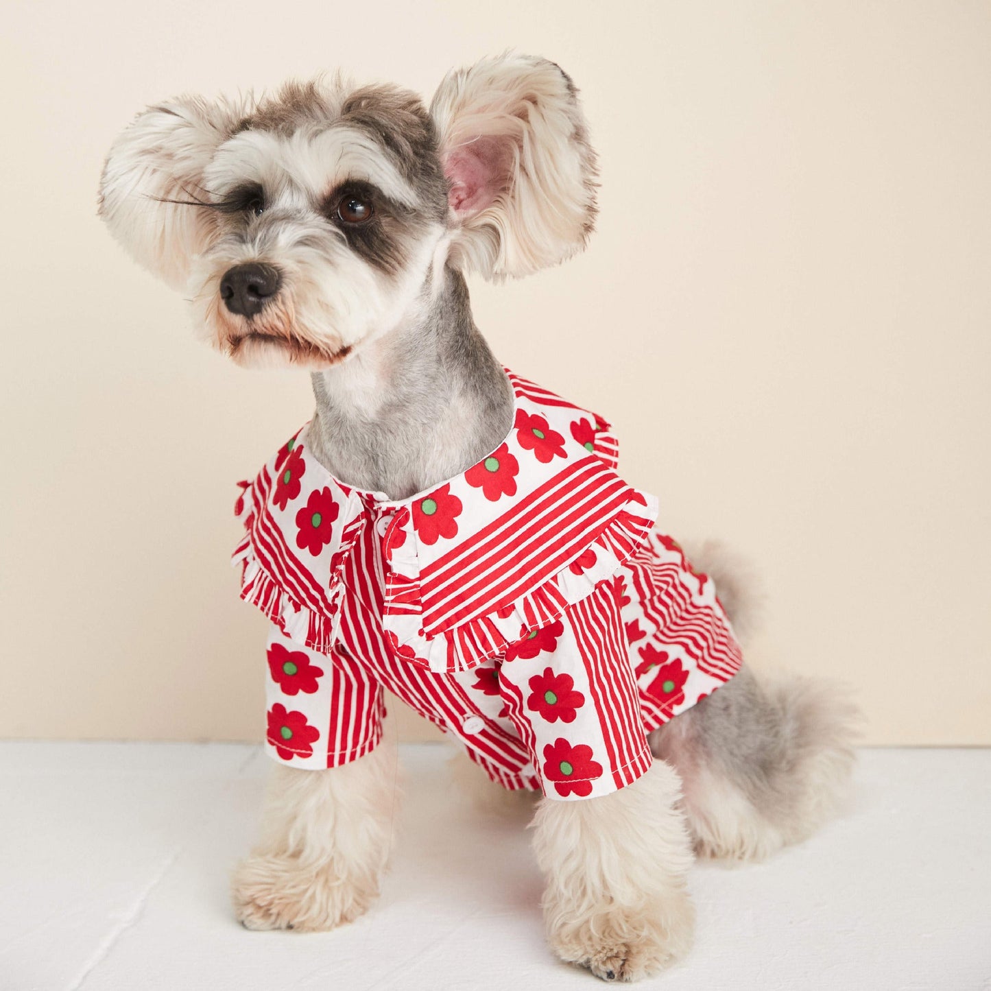 Dog Clothes Spring And Summer Thin Lotus Leaf Shirt Purrfect Pawz