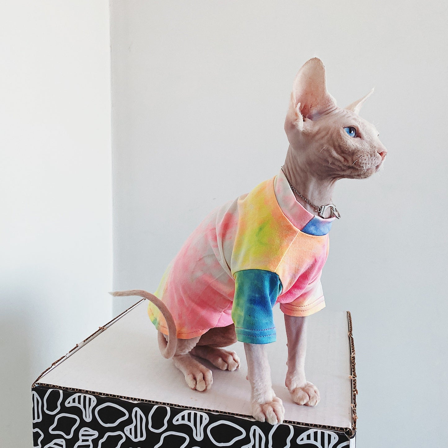 Hairless Cat Clothes Tie-dye Rainbow Primer Purrfect Pawz