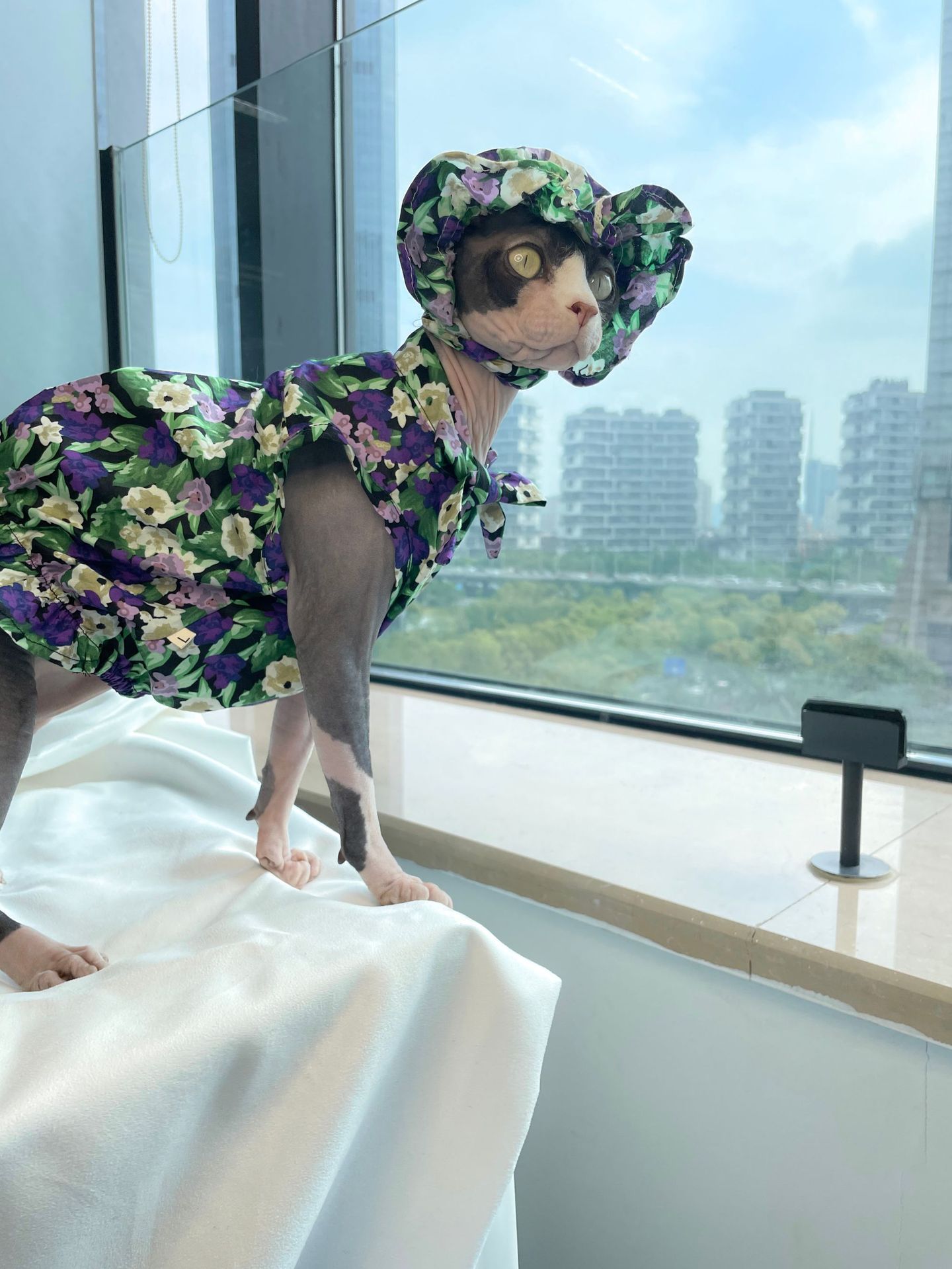 Cat Clothes Summer Thin Floral Dress Sphinx Hairless Purrfect Pawz