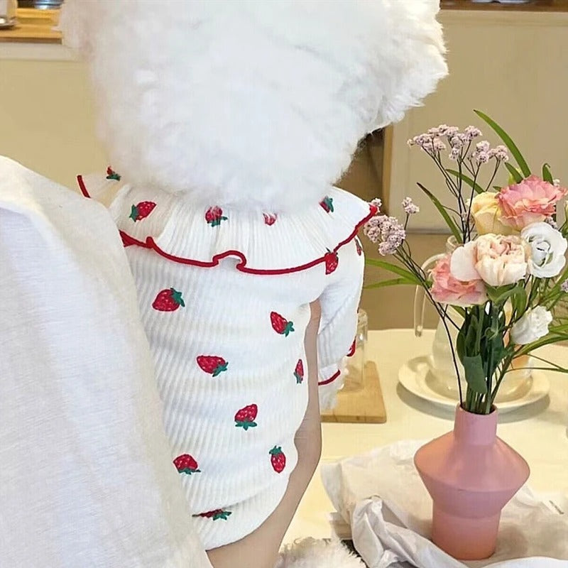 Summer Thin Lace Strawberry Pet Cat Dog Clothes Purrfect Pawz
