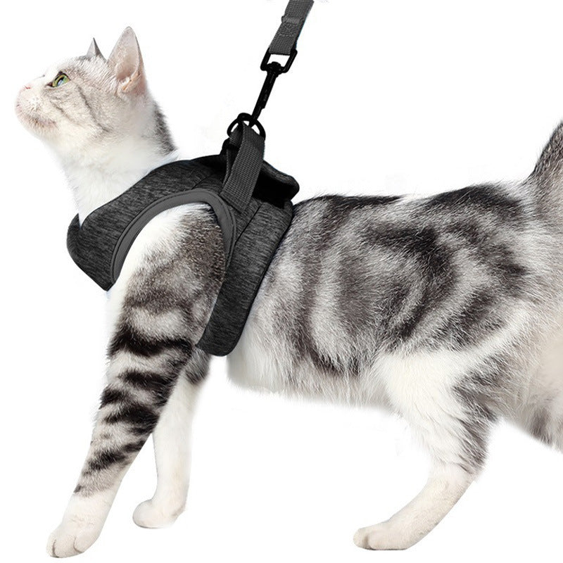 Cat Leash Lace Rope Breathable Lightweight Chest Strap Purrfect Pawz