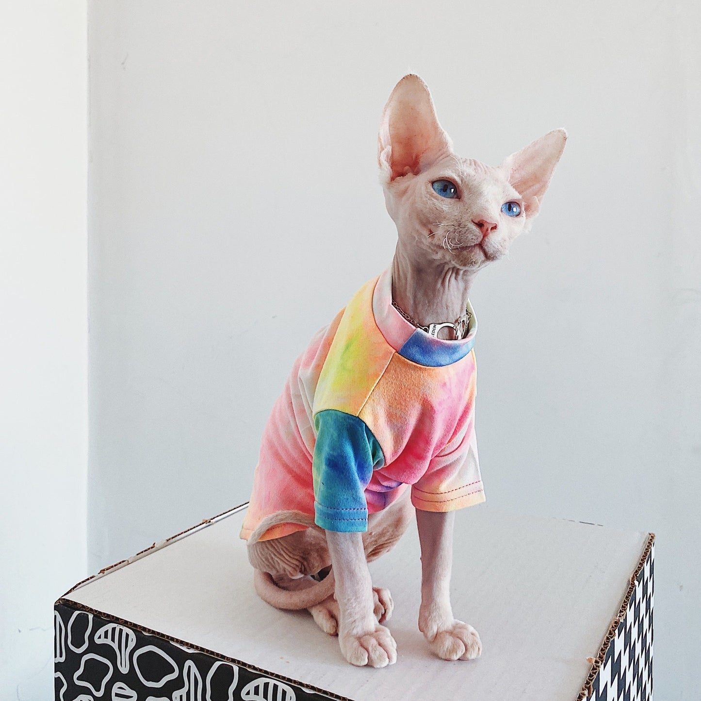 Hairless Cat Clothes Tie-dye Rainbow Primer Purrfect Pawz