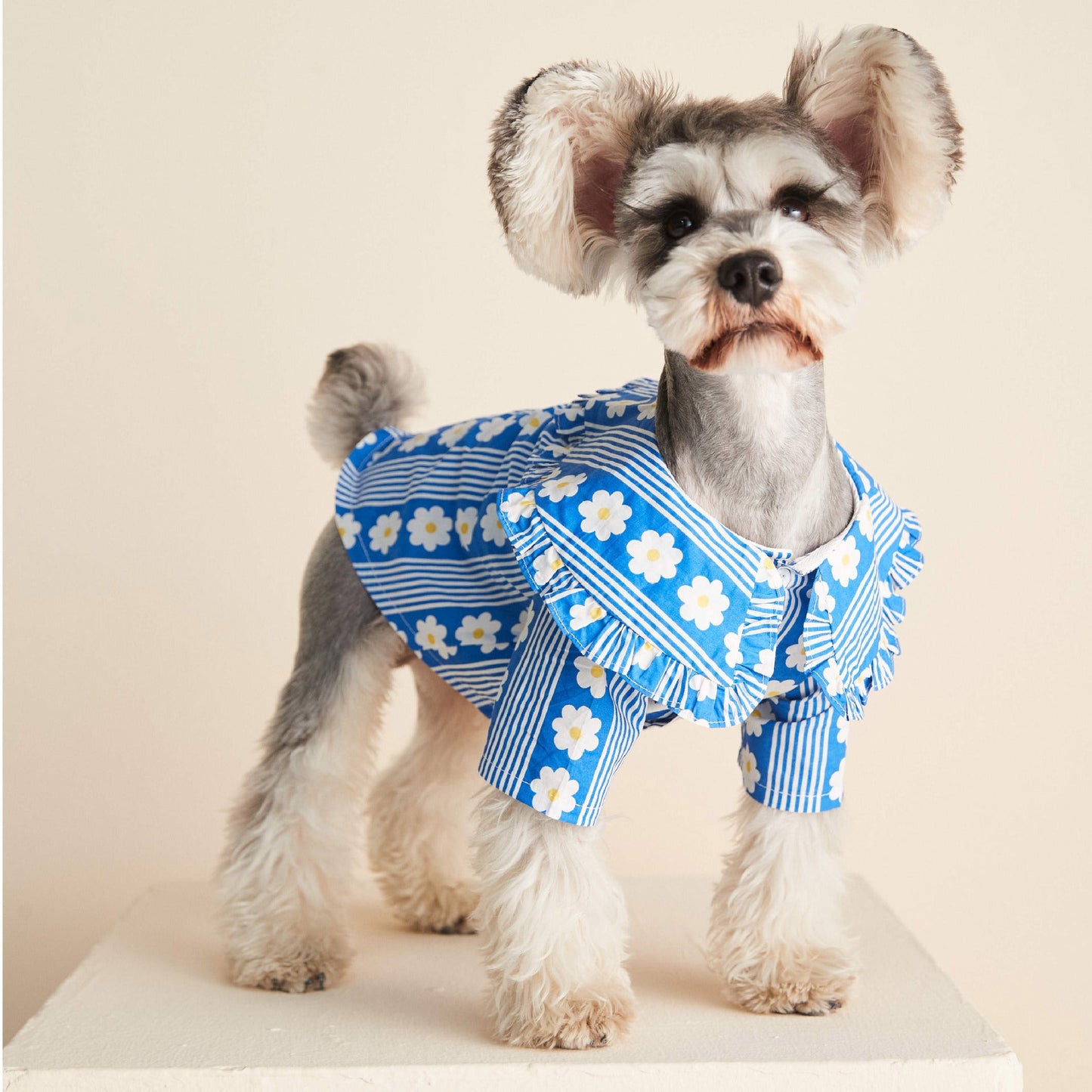 Dog Clothes Spring And Summer Thin Lotus Leaf Shirt Purrfect Pawz