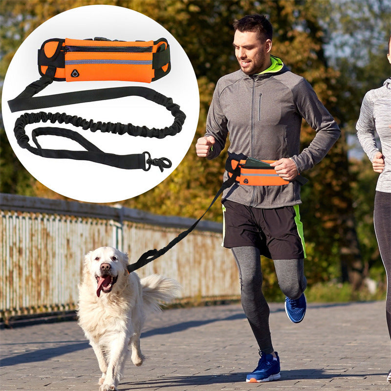 Pet Purse Leash For Dog Walking Purrfect Pawz