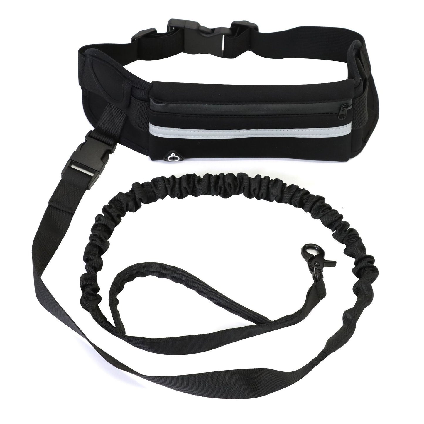 Pet Purse Leash For Dog Walking Purrfect Pawz