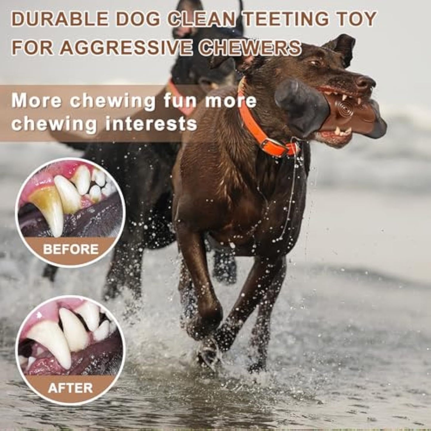 Tough Dog Toys For Aggressive Chewers Large Breed Indestructible Dog Toys Durable Dog Chew Toys For Large Dogs Bacon Flavor Dog Chew Toys For Aggressive Chewers Durable Large Dog Toys For Big Dogs Purrfect Pawz