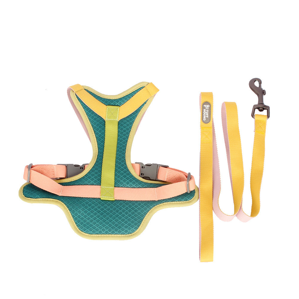 Colourful Harness & Leash Set Purrfect Pawz