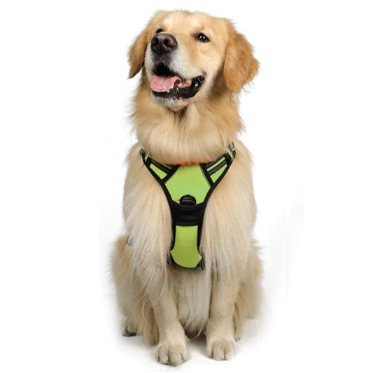 Large Dog Vest Leash For Dogs Purrfect Pawz