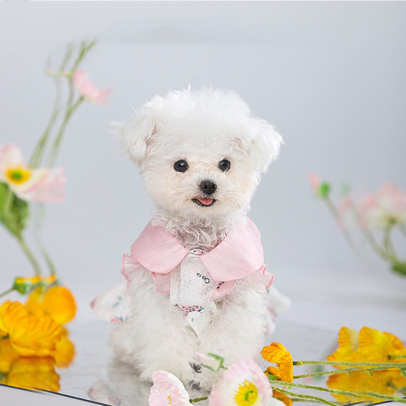 Cat Clothes Anti Hair Loss Puppet Pet Purrfect Pawz