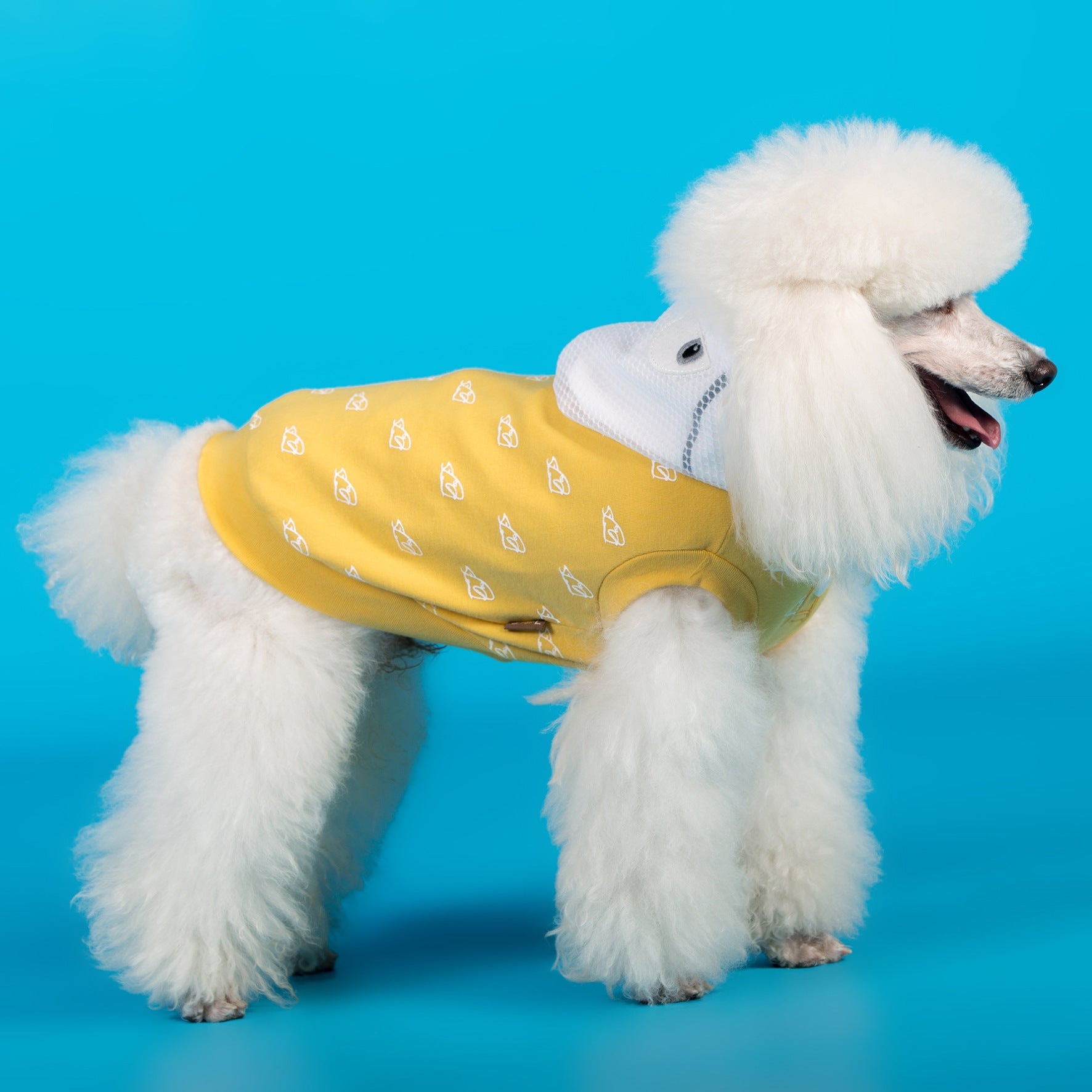 New Cotton Stretch Dog Clothes For Spring And Summer Purrfect Pawz