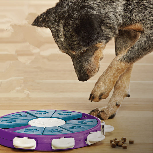 Dog educational toys Purrfect Pawz