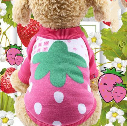 Winter cat and dog clothes Purrfect Pawz