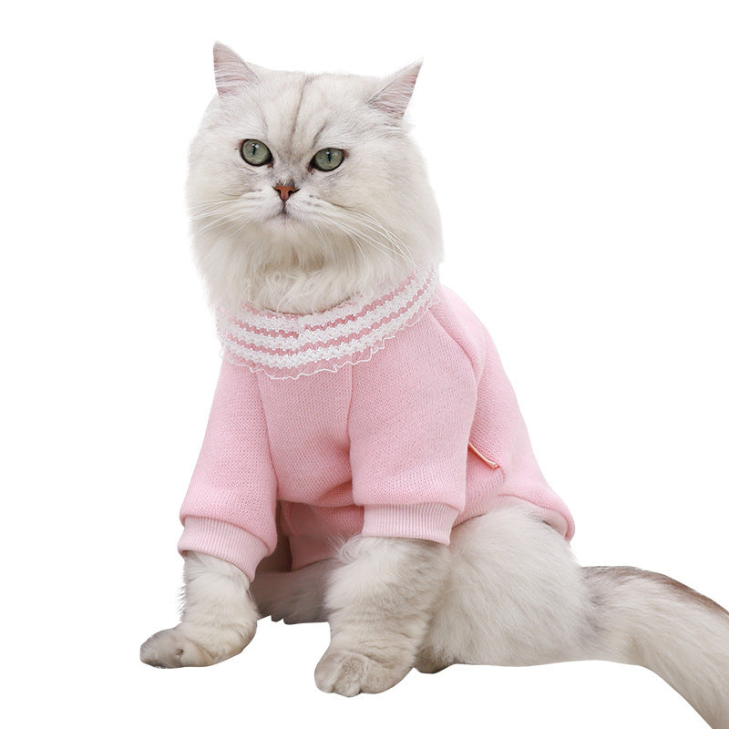 Cat casual clothes Purrfect Pawz