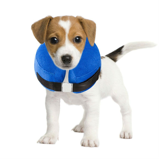 Protective Inflatable Collar for Dogs and Cats Purrfect Pawz