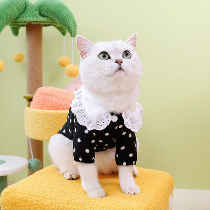 Pet Clothes Blue Cat Ragdoll T-shirt Clothing Purrfect Pawz
