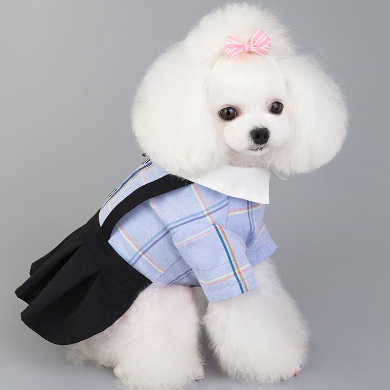Spring And Summer New Dog Clothes Couple Wear Student Suit Purrfect Pawz