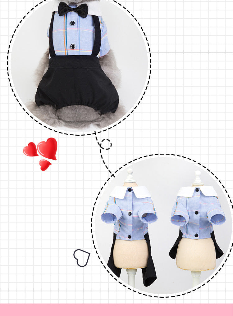 Spring And Summer New Dog Clothes Couple Wear Student Suit Purrfect Pawz